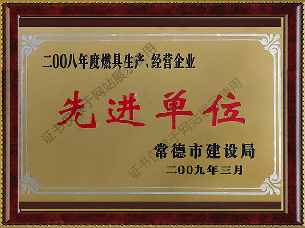 2008年度燃具生產(chǎn)、經(jīng)營企業(yè)先進單位
